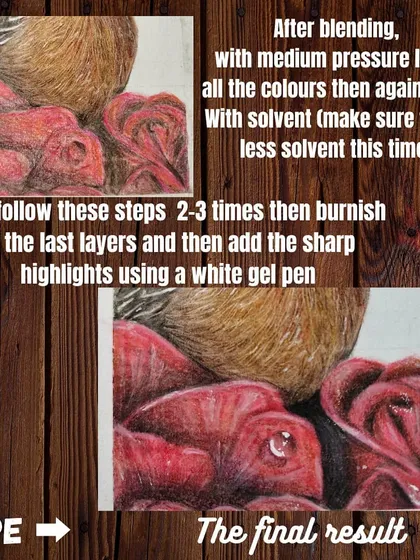 The second part of the rose drawing tutorial, explaining the blending and highlighting process.