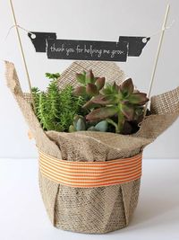 Botanical Gifts & Decor