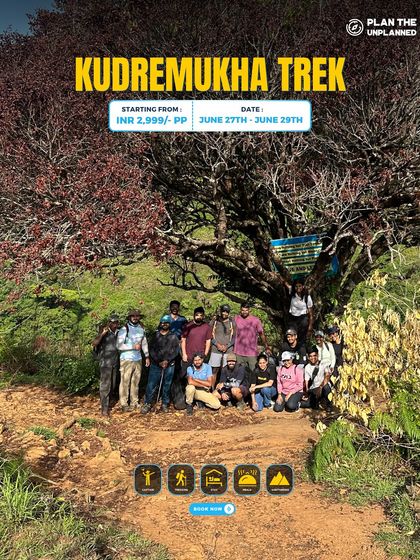A group poses under a beautiful tree on the Kudremukha trek.