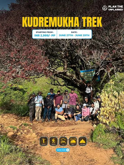 A group poses under a beautiful tree on the Kudremukha trek.