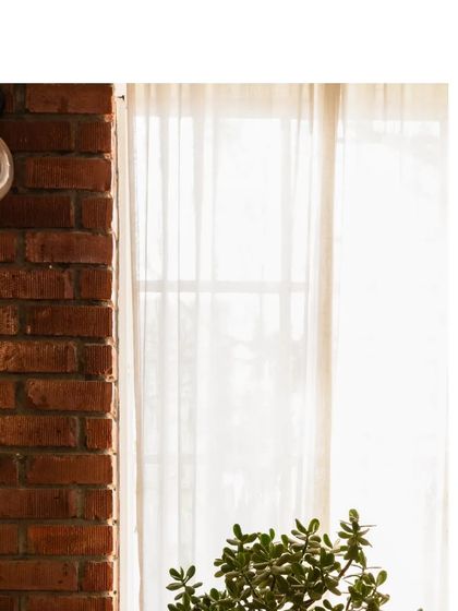 A simple, elegant detail from The Brick Loft. The exposed brick, vintage-style light fixture, and healthy green plant create a warm and inviting atmosphere.