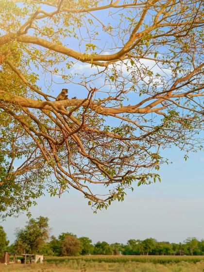 The Art of the Shot: Technique & Perspective photo 9