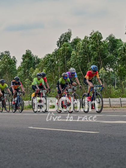 The peloton, a tight and fast-moving group.