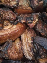 Authentic Northeast Meats & Fish