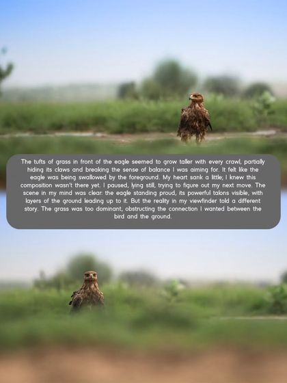 The Art of the Shot: Composition & Creativity photo 10