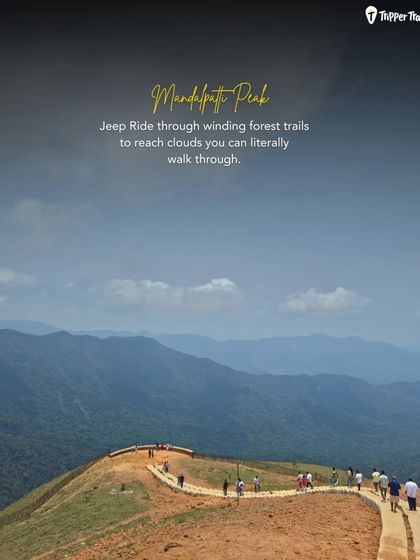 A jeep ride through winding forest trails to reach Mandalpatti Peak in Coorg, where you can literally walk through the clouds. It's an experience you won't forget.