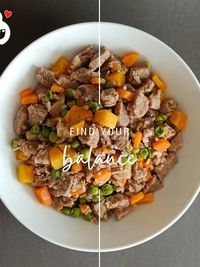 Freshly Cooked Dog Meals