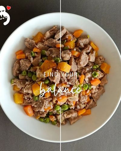 Freshly Cooked Dog Meals