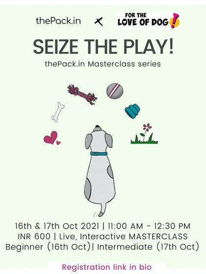 This poster for my "Seize the Play!" workshop series shows the variety of DIY toys we learn to make. The classes are split into beginner and intermediate levels to suit everyone.