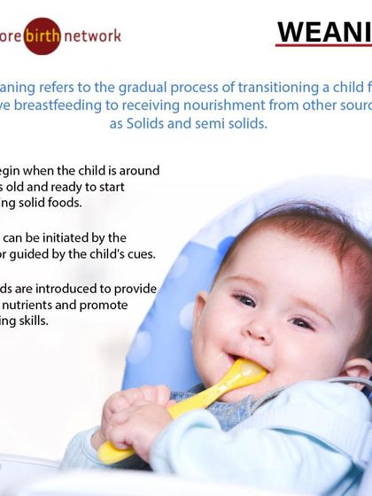 This infographic explains the process of weaning. We define it as the gradual transition from exclusive breastfeeding to other sources of nourishment, and we provide guidance on when and how to begin.