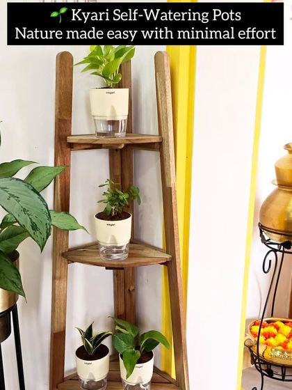 Sushma Reddy - Gardening Product Sourcing & Reviews Essential Tools & Garden Decor photo 7