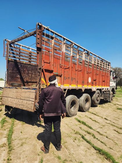 Delhi Gardner - Wholesale Plant & Turf Supply Natural Grass Turf: From Our Farm to Your Project photo 74