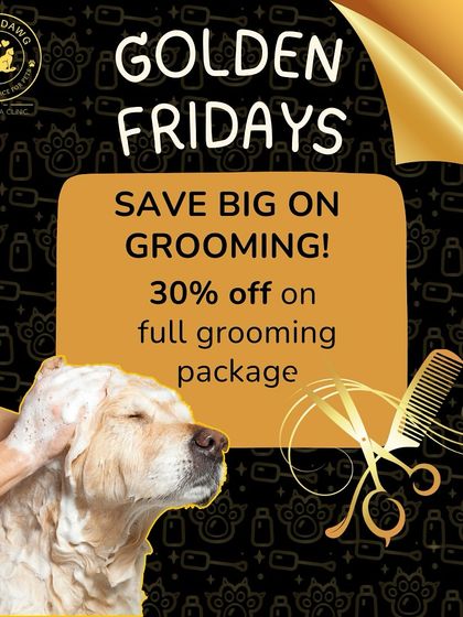 Oh My Dawg - Pet Grooming Services Save on Spa Days: Offers & Memberships photo 3