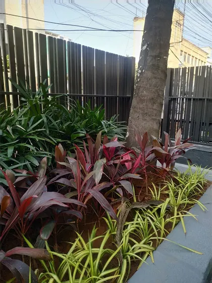 A close-up of the plant selection for the studio's outdoor area. The choice of plants adds texture and color, enhancing the aesthetic of the building's exterior.