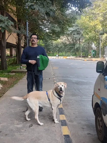 A client and his Labrador take a short break next to our pet taxi. We encourage these moments to ensure both the pet and our team are ready for the next leg of their domestic journey.