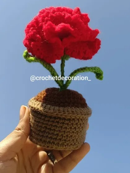 A single potted red carnation held up against the sky. The rich red color and detailed petals make it a beautiful, timeless piece.