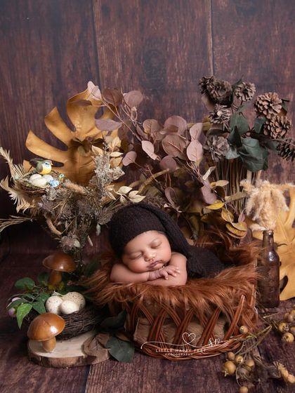 A dark and moody woodland theme. The rich brown tones, dried leaves, and mushroom props create a mysterious and enchanting forest floor for this sleeping baby.