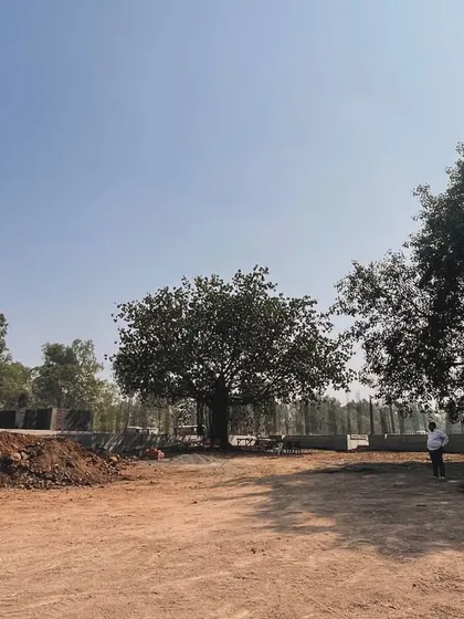 An early construction site photo of our villa project in Nashik. The open land and mature trees provide the natural canvas upon which we are crafting a modern residence, carefully integrating the new structure with the existing environment.