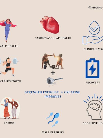 The combination of strength exercise and creatine improves much more than just muscle. It supports cardiovascular health, cognitive function, energy levels, recovery, and even male and female health.
