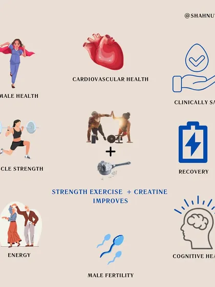 This infographic summarizes the wide-ranging benefits of combining strength exercise with creatine. It improves everything from muscle strength and recovery to cardiovascular health, cognitive function, and even fertility.