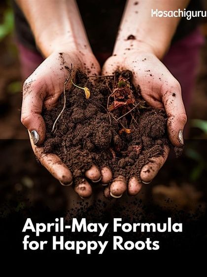 Our April-May formula for happy roots starts with nourishing the soil. This is the season for self-care, preparing the ground for the monsoons with a super-mix of organic inputs.