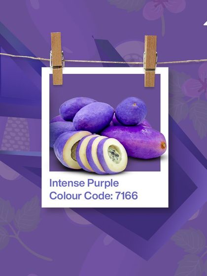 Paint My Walls - Painting Services Free Color Consultation & Inspiration photo 101