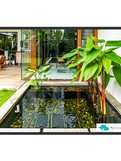 Here, a custom-built water feature becomes an integral part of the home's entryway. The combination of clear water, smooth river stones, and aquatic plants creates a welcoming and harmonious transition from the outdoors to the indoors.