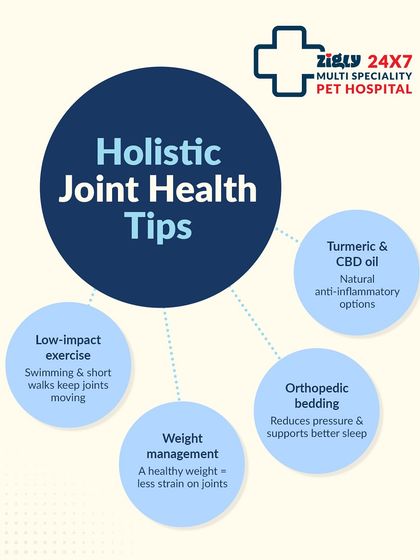 Zigly - Veterinary Services Specialized Care: Arthritis, Dental & Mobility photo 12