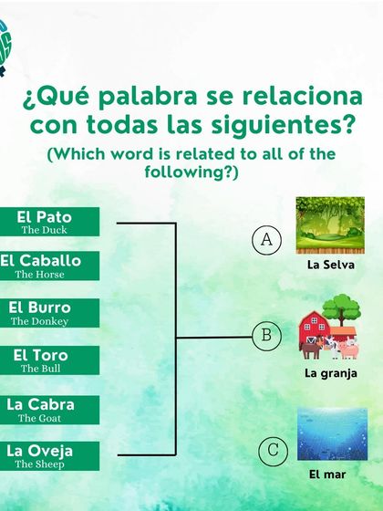 Let's categorize these Spanish animal names. Do 'pato', 'caballo', and 'oveja' belong in the jungle, the farm, or the sea?
