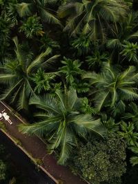 Pre-Wedding Photoshoots & Films