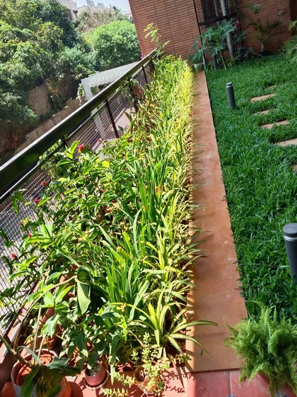 A garden path with integrated lighting posts. This design ensures the garden is just as beautiful and usable after dark, highlighting the plants and making the pathway safe to walk on.