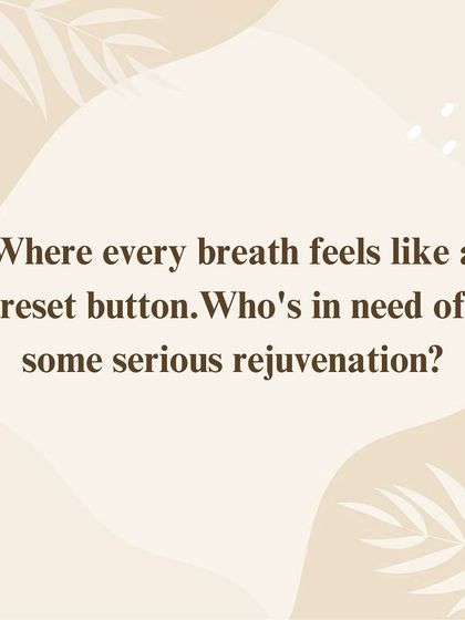 Every breath in our studio feels like a reset button. We provide a space where you can leave your stress behind and find some serious rejuvenation through mindful movement.