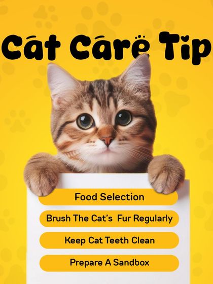Oh My Pet - At-home Pet Grooming Pet Health & Safety Gyaan photo 16