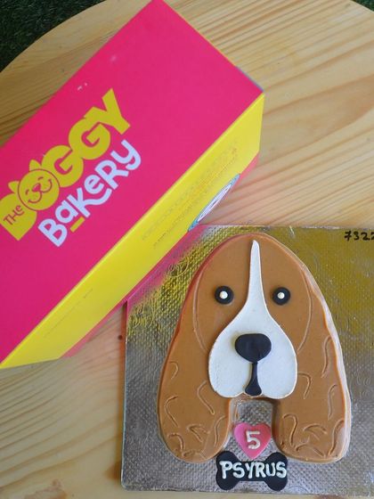 A custom cake for Psyrus the Beagle, ready to be delivered. Each cake is made to order with fresh ingredients like fruits, veggies, or meats.