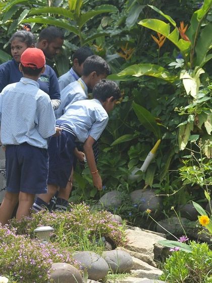 Make My Garden - Event Hosting & Workshops For Our Little Sprouts: Kids' Workshops & School Trips photo 16