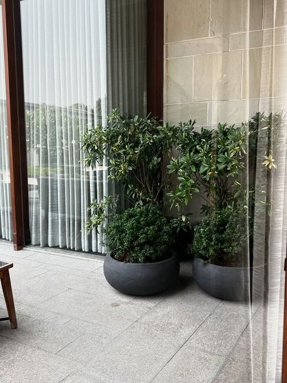 Lush Farmhouse & Villa Landscapes photo 62