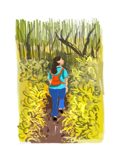 An illustration of a lone walker on a narrow path surrounded by lush yellow-green foliage, capturing the feeling of being immersed in nature.
