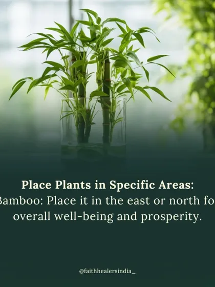 Bamboo is a symbol of well-being and prosperity. According to Vastu, placing it in the east or north direction of your home can bring overall success and good fortune.