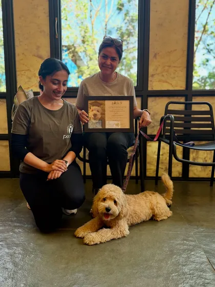 Goldie the Cockapoo and his guardian celebrating his graduation. When clients become like family, it's even more special.