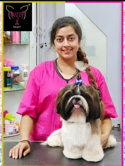 Meet Enzo, a handsome Shih Tzu looking absolutely perfect after his spa day. We specialize in breed-specific styles, ensuring every detail from the top knot to the paws is groomed to perfection.