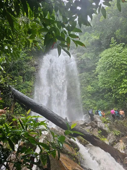 A view of Hidlumane falls through the trees, a hidden gem in the Western Ghats.