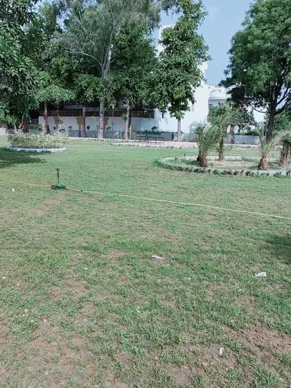 A simple and clean residential garden with circular flower beds and a sprinkler system in place for easy maintenance. My goal is to create beautiful spaces that are also practical to care for.