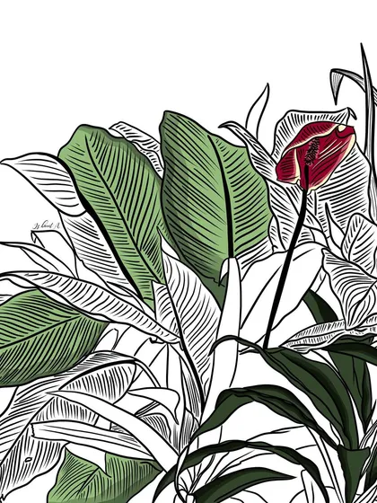 A work-in-progress doodle of tropical leaves. I often find peace and inspiration in drawing botanicals, playing with line work and adding pops of colour to bring the foliage to life.