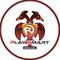 Playsmart