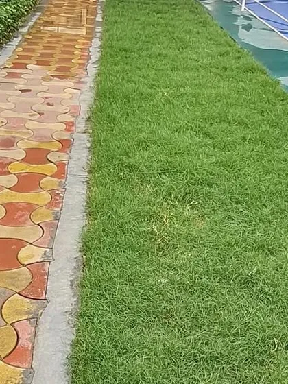 A close-up of the interlocking paver path next to a freshly laid lawn, showing the clean edge and quality of our installation work.