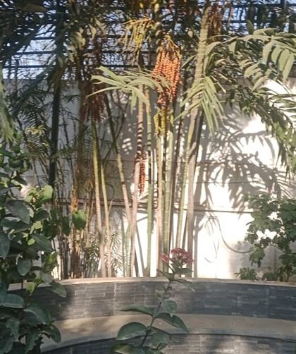 Hygrinz - Garden Maintenance Garden & Lawn Maintenance photo 5