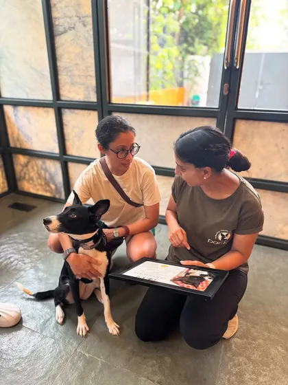 Explaining the details of Chhutki's progress to her guardian during the handler transfer session, a crucial step for long-term success.
