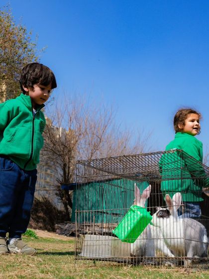 Farmus - Private Parties & Events Our Furry & Feathered Friends photo 25