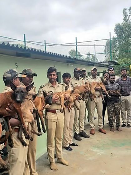 Dog Guru - Professional Dog Trainer Certification Official K9 Squad Consultation photo 8