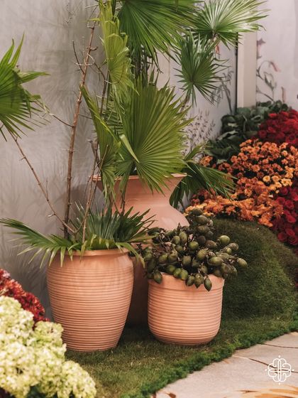 A corner of the 'Orchard of Life' setup, with earthen pots and lush greenery.